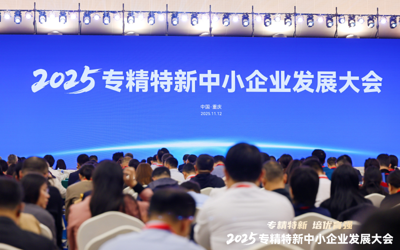 2025專精特新中小企業(yè)發(fā)展大會(huì)